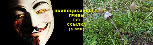 амфетамин Зеленодольск